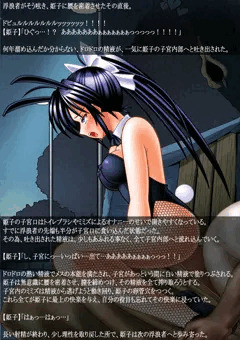 とある退魔士の記録 24