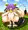 うしひじりん