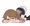 NSFWの練習
