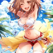 バカンスライザ