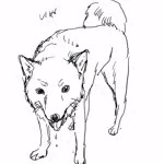 ｳｪｰｲ