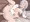 八乙女うるし6