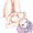 いいにくレティ