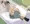 チントレ