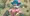 褐色魔法少女とローパーの巣