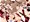 美少女怪盗拷問調教SLAVETAIL