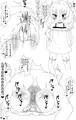 おしりおなほ