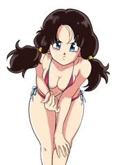 ビーデルのビキニ姿＋＠