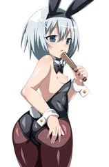 姉弟子バニー