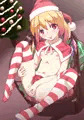 クリスマスフランちゃん