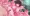hana_20210821