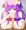 おっﾊﾟﾁｭﾘｰ