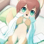 シャツいぬ