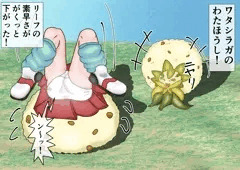 リーフ　ワタシラガ　わたほうし