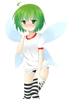 体操着からの裸　ティンカたん