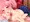 さざなみちゃんちっぱいズリ！