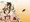 剣奴レイシャ5