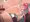 紫雲寺 謳華