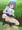 よその子おしっこ