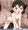 先生係のしずかちゃん♡