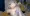 あかりちゃんは成長期！【ボイロAV】
