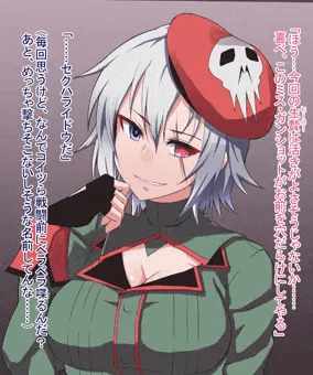戦え！！セクハライドウ！