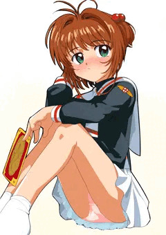 木之本桜2