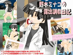 野木ミナコの露出調教日記