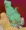 うまくなったでしょう？
