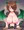 【skeb】サキュバスちゃん騎乗位