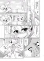 第１３回東方紅楼夢新刊