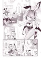 バニー紅魔館VSアリス