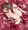 【EX-002】PSO2 R-18本 預定插圖 ティア