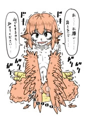 命乞いハーピー