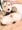 いぶきっぱい