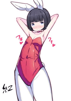 地味バニー腋ロリ