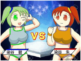 双子ファイト