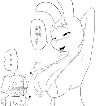 巨乳ウサギって・・・
