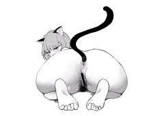 うちのネコチャン