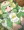 交尾ごっこしたいすぎる11