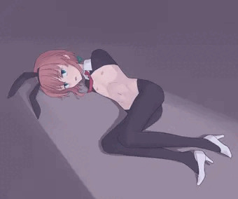 うちの子バニー