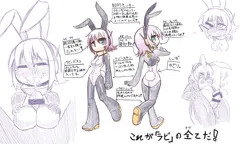 ウサミミ(?)ロボット