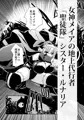 メイア教団シスター聖徒隊　デーシュヴァール村事件