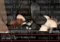 ＤＴｕｂｅ－鬼畜ヒトイヌ調教－