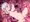カーマの触手姦