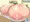 部屋いっぱいのおっぱい
