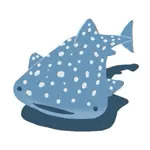 りんこどん