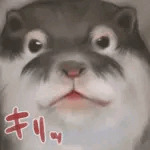 英田舞