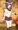 珠姫ちゃんの目線