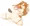 ちんコー